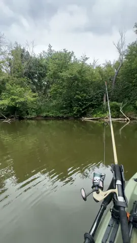 #backroadsoutdoors #catfishing #jamesriver #fishing 