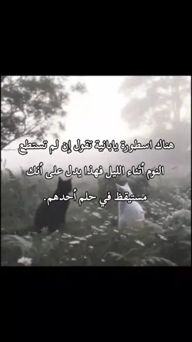 اسطورة يابانية تقول ان لم تستطع نوم #fouryou #اساطير_يابانية_لطيفة #اساطير #يابان #لك 