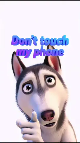 Clink on the link in the lower left coner to get free live wallpaper about funny Siberian Husky “Don’t touch my phone”  #capcut #capcutforus #capcutpioneer #wallpapers #huskydog 