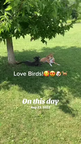 #onthisday 