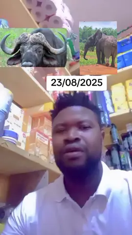 #gouvernement #ibrahimtraore #sahel #tiktok #vive 
