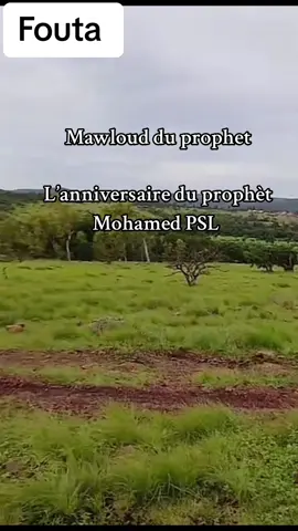 #lanniversaire #islamic_video #CapCut #videoviral #viralvideos @Tour de Guinée 224🇬🇳🇸🇳🇫🇷 @GUINVIEW📸🇬🇳 @🕋 حرفت بلادي 🕋 