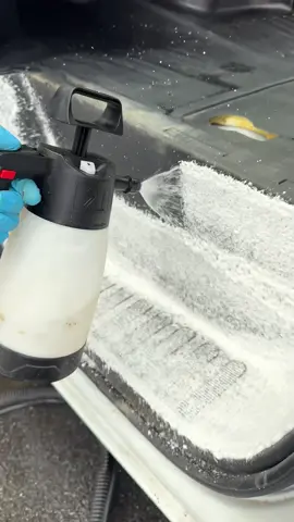 #carwash #carwashing #carsoftiktok #cardetailing #detailing 