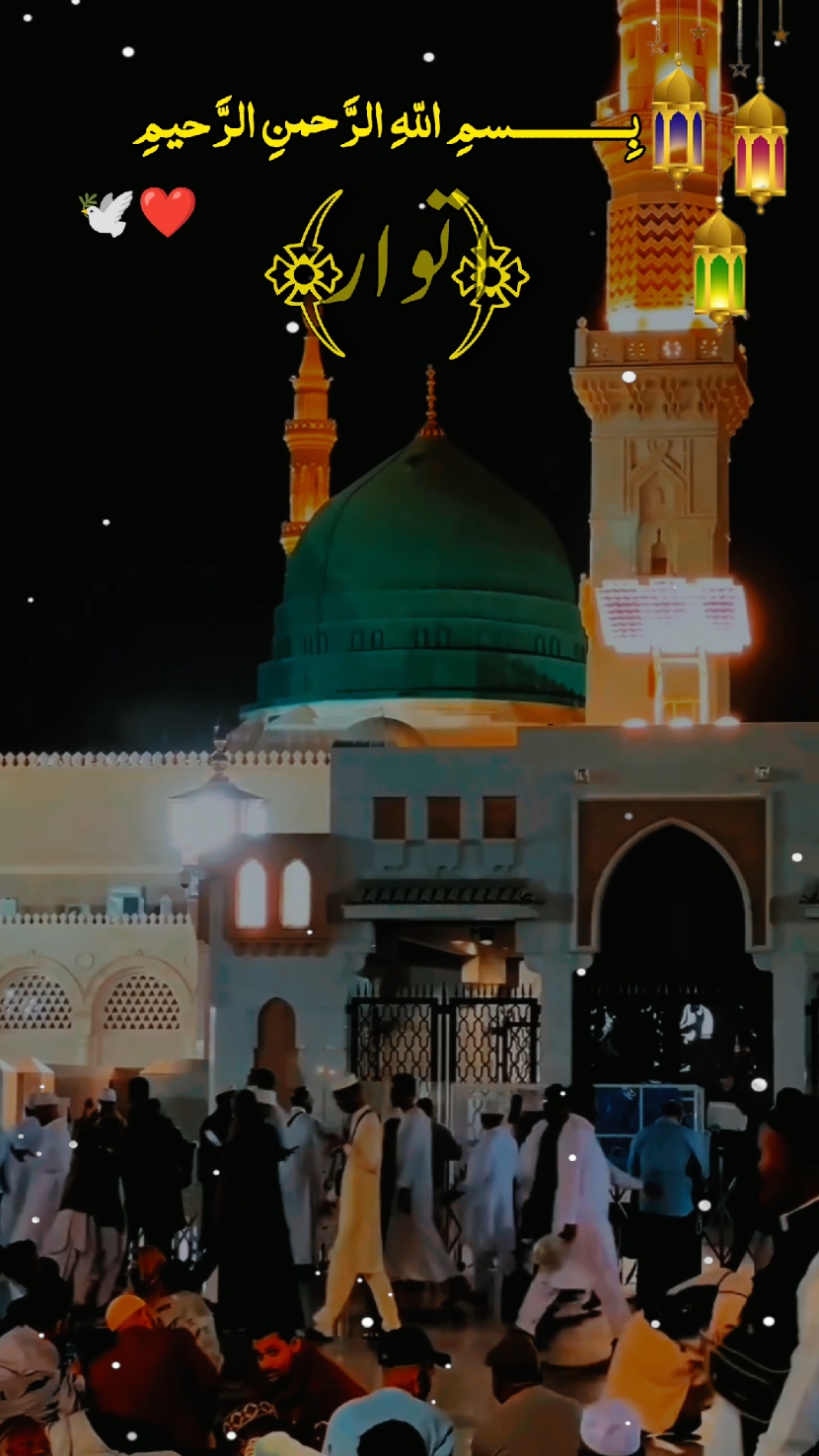 Sunday status notification 24/ August/ 2025 status notification Islamic video status notification🔔 #trending #foryoupage #fypジ #fypジ #tiktok #vriltik #tiktokviral #fypp  #pyppppppppppppp #vriltik #fyp #fypp #islamic_video #100 #100k #viral #foryou #1millionaudition #100k  #fyppppppppppppppppppppppp #foryou #trending #foryou #fyourpage #fyp #viral #100k #trending  #tiktokviral #mirfans03 #writes #fyourpage #fyourpage 