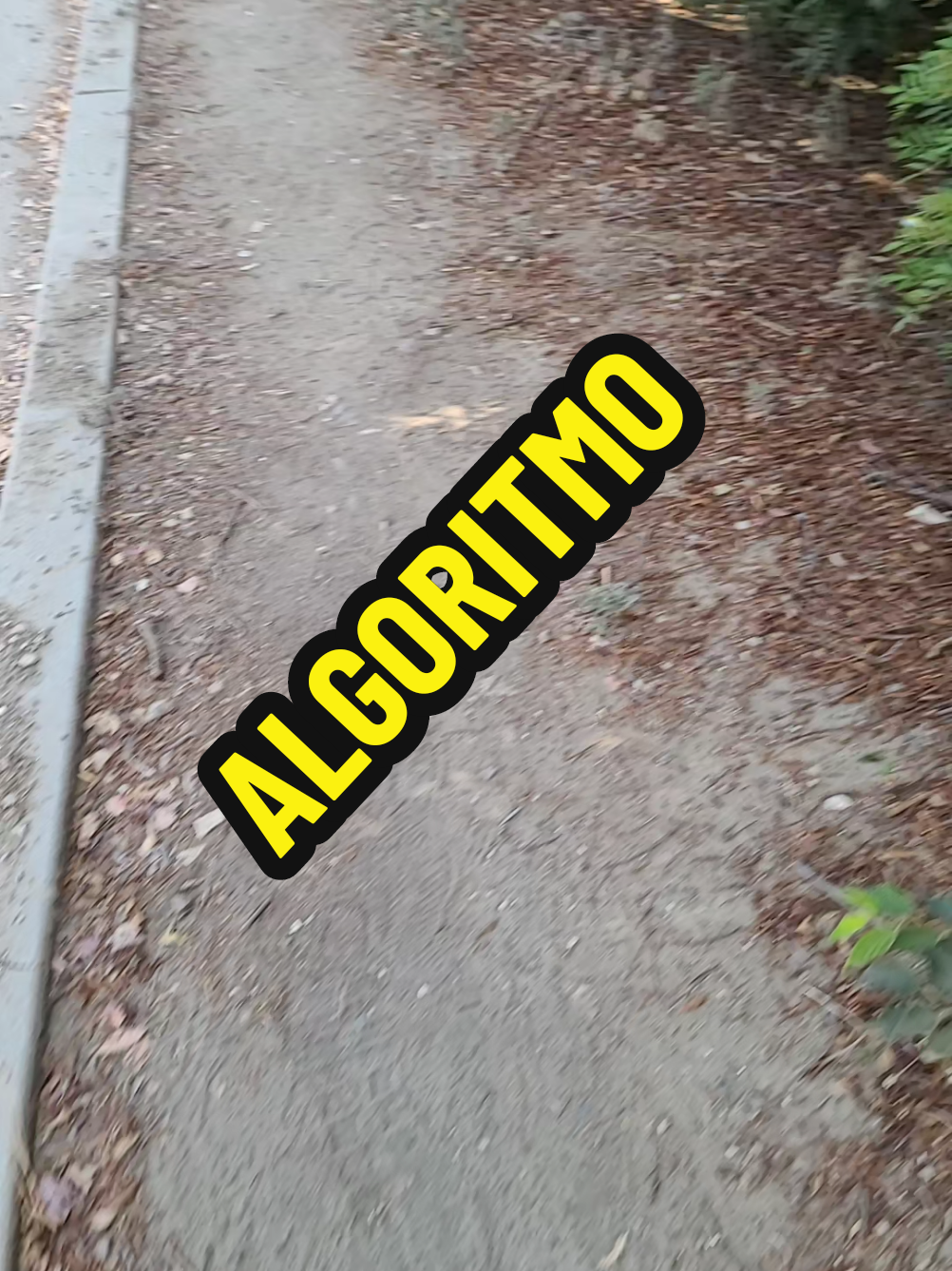 #algoritmo #fyp #viralvideo  #motivacion  #reflexiones 