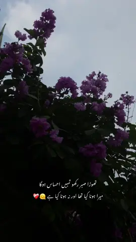 میرا ہونا کیا تھا اور نہ ہونا کیا ہے ۔❤️‍🩹