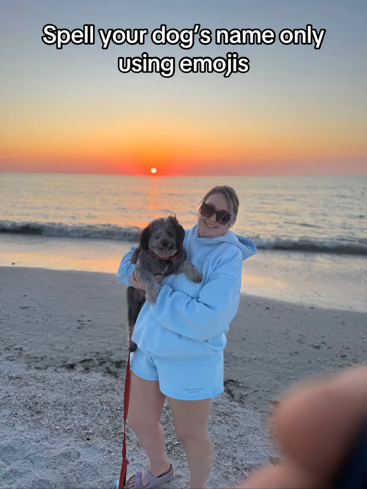 Harder than I thought #dogmom #dogtrend #dogsoftiktok 
