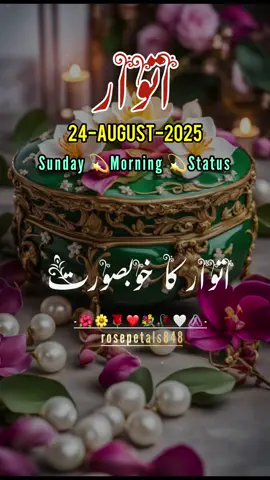 Good Morning Subah Bakhair اتوار کی صبح مبارک ہو,Status,🤲❤️🤲🥀❤️🤲🌺.                        #goodmorning#foryoupagе#fyp#standwithkashmire#صباح_الخير 