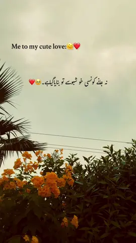 Your smell comes from your Picture 🥹❤️🌸🫶🏻…. Mention ❤️🫶🏻.. Repost 🥺..#1millionaudition #foryou #poetry #viralvedio #foryoupagе 