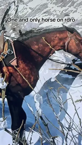 Bayleaf really the best horse I’ve had in this game, talk about a faithful steed . Although she’s gonna death stare everyone. Typical mare 😊##rdronline2
