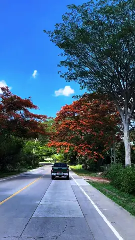 #el_salvador🇸🇻 #fypツ #metapan_el_salvador💙🇸🇻 