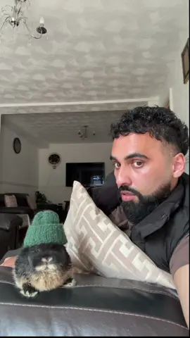 Labubu ❌ Labunbun ✅ ✋🏽