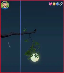 ماسحر صبا لیدلی وو دہ چامخ 👀💯#islamic_video #growmyaccount #junaidtypist53 #viraltiktok #foryoupage 