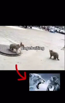 #ragebaited CPCPCPCPCPCP