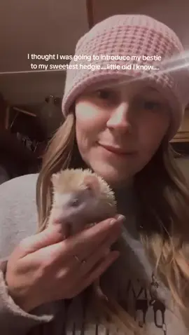 I thought it was going to share our cutie pie old grandma hedgehog with my best friend ... Grandma had other ideas. 