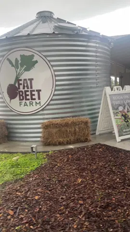 @Fat Beet Farm #saturday #foryoupage #fyp #Foodie #foodtiktok 