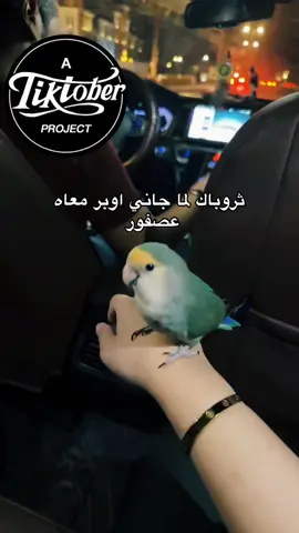 #fyp #الخبر #alkhobar 🥺❤️❤️