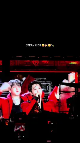 #SKZ | e ficaram novamente 🫶🏼 #straykidsdominatingtheworld #hyunjin #hyunin #uscore