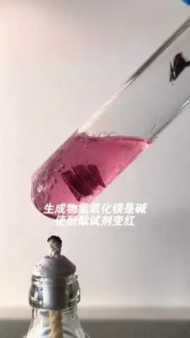 Reaction of magnesium and water#chemistry #beautifull 