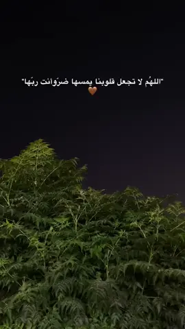 واذكر ربك اذا نسيت 🤍.#قران 