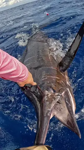 Craziest day on the water yet 🇧🇿 #belize #fishing #belizeantiktokers #deepseafishing #belizean🇧🇿 
