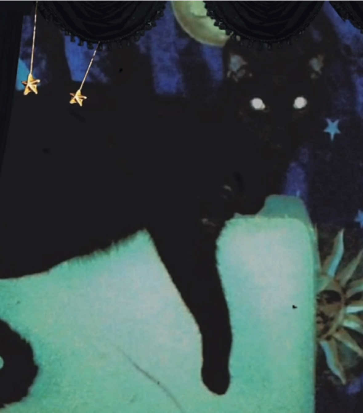 🐈‍⬛ 🔮 🌑 || #whimsical #weirdcore #nostalgia #fyp #whimsigoth 