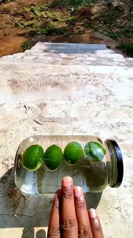 Part 283 | don't mis the end (Part 284) #glassbottle #satisfyingvideos #asmrsounds #asmrusa #usa_tiktok