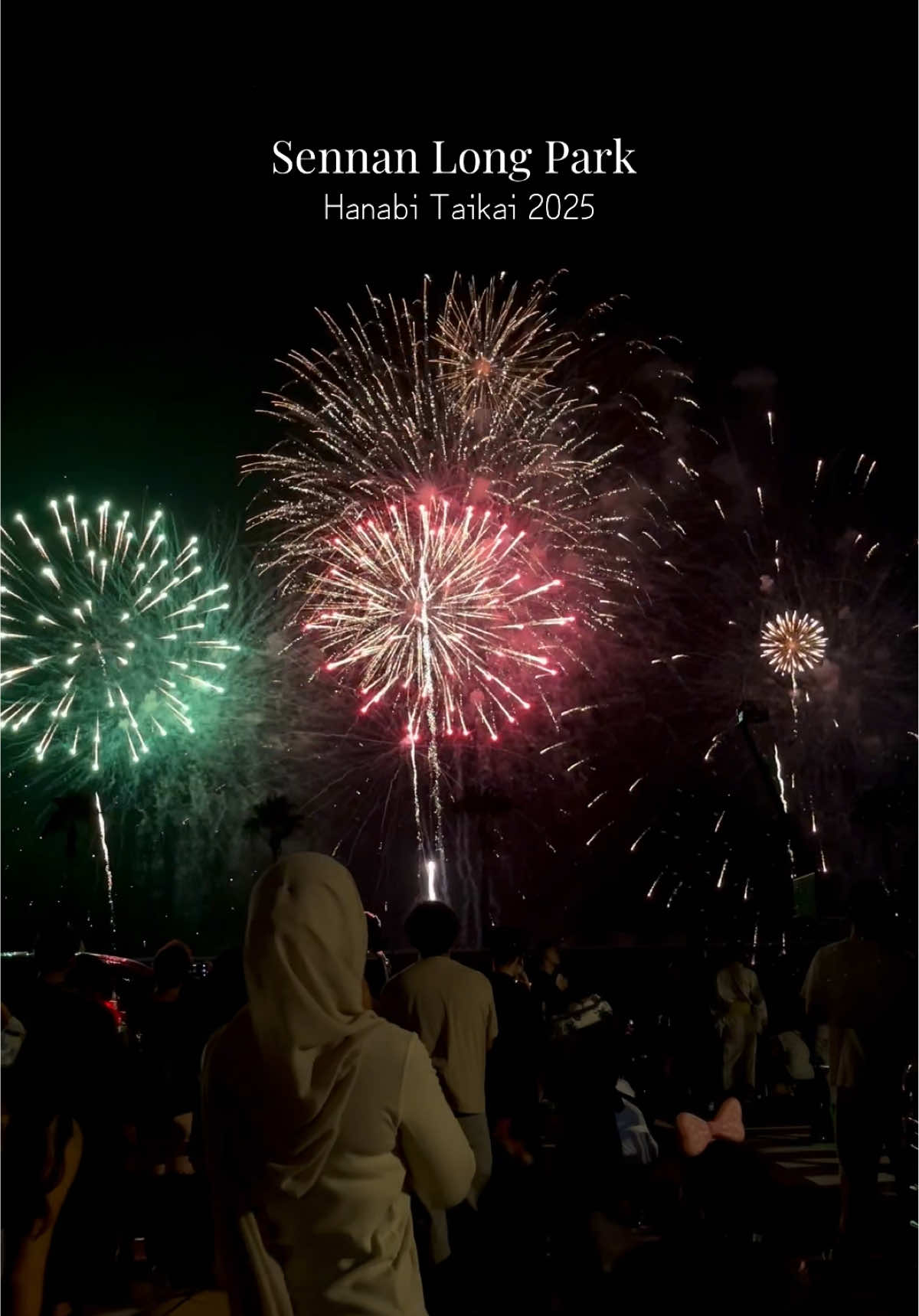 #hanabi #fireworks #泉南ロングパーク #summerlooks 