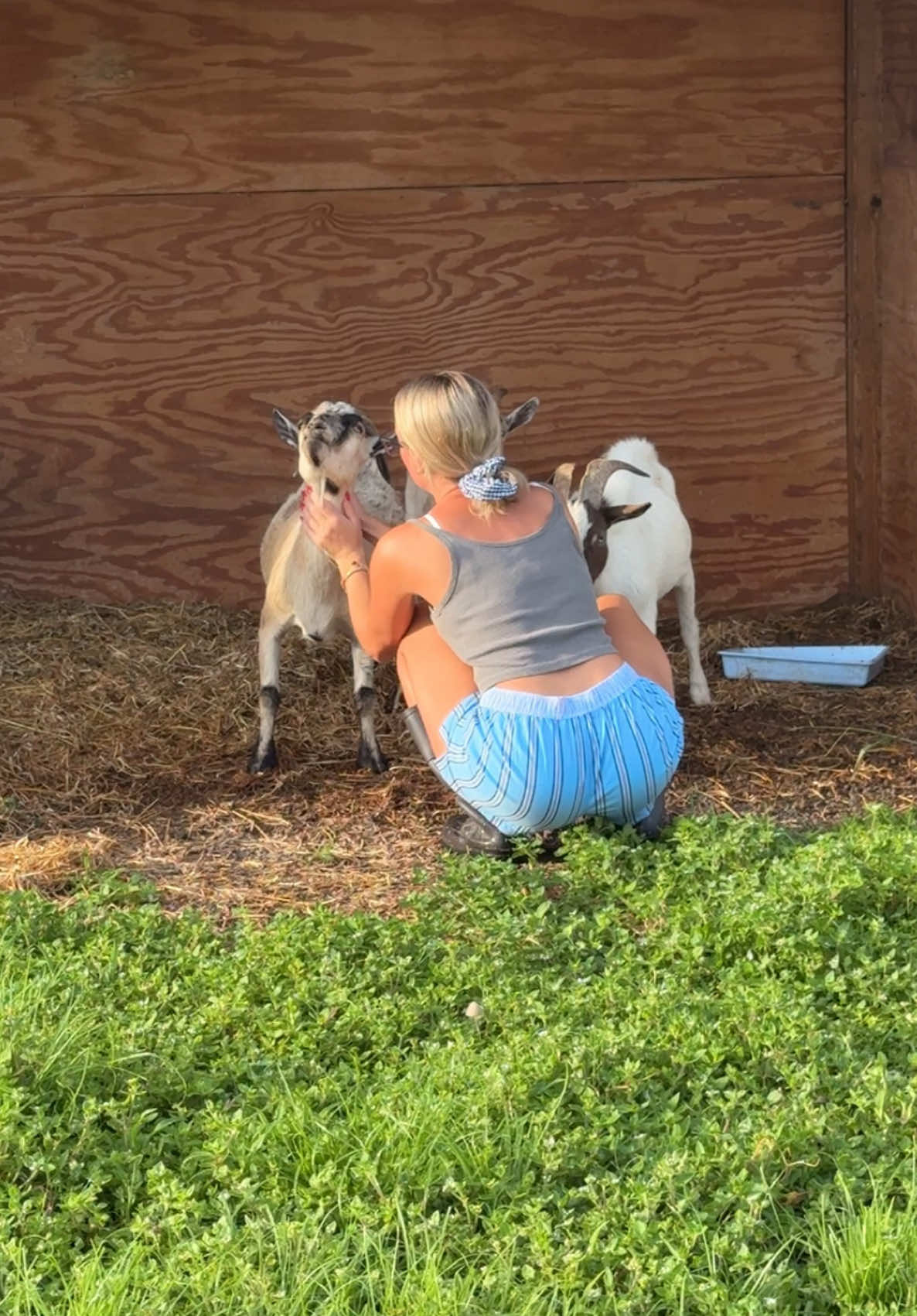 come spend a morning with me on the farm 🌾🐖🐈🥕