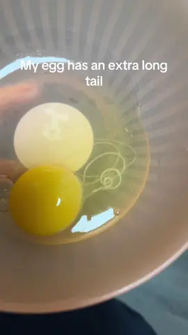 Reminder to always crack eggs in a seperate container lol 