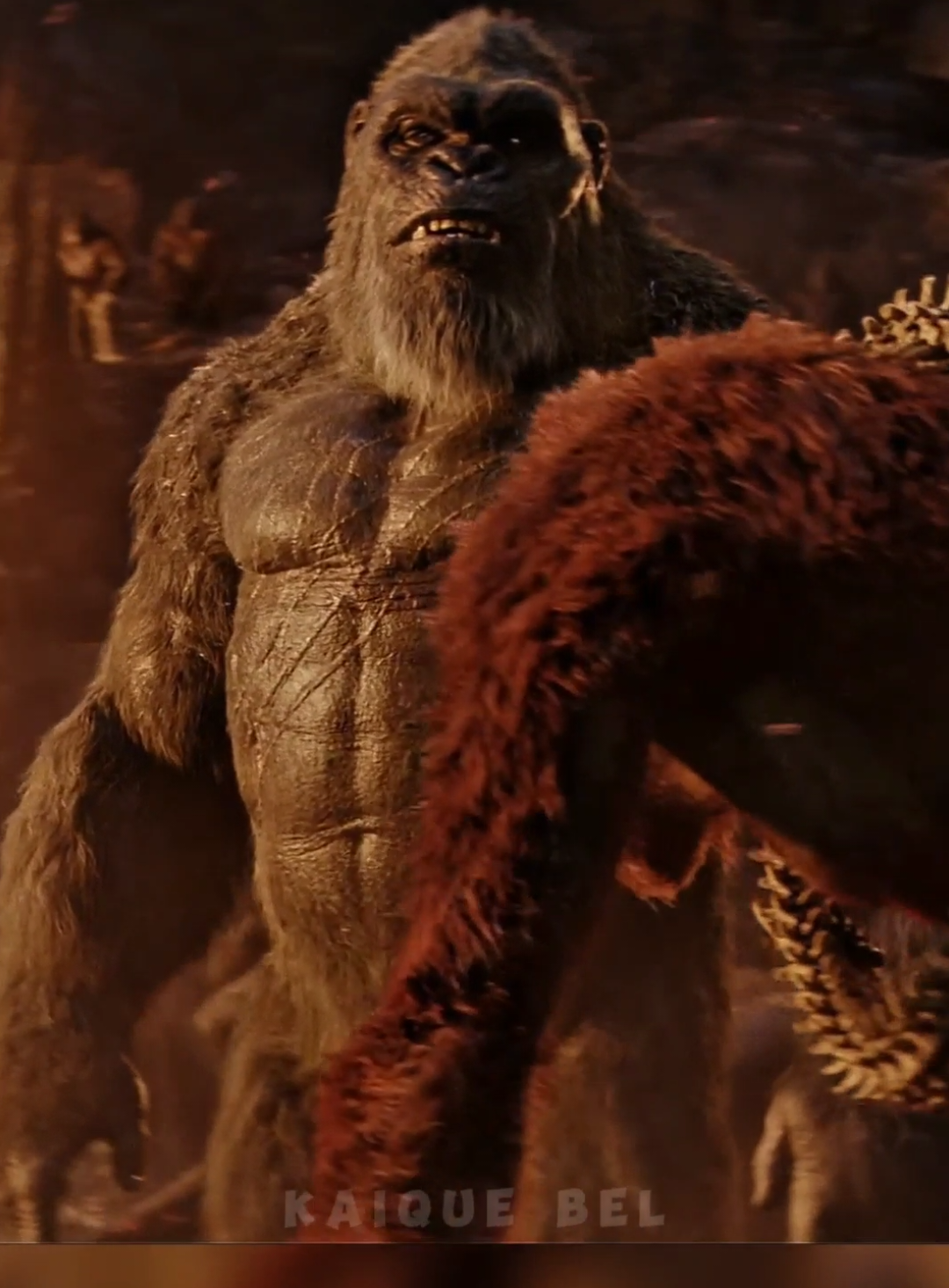 Por que o Kong é maior que os outros macacos? #kong #kingkong #godzilla #godzillavskongroar 