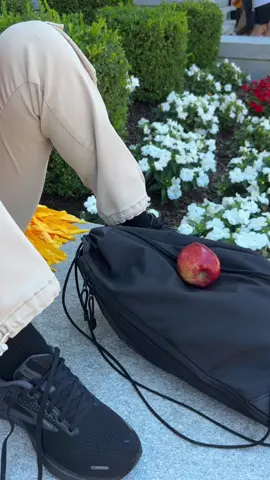 🍎
