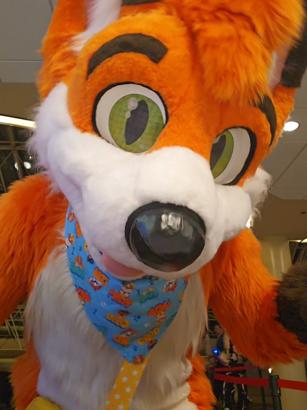 Oh, you want cuddles? >w< @ Furrydelphia! #furry #fursuit #furries #furrytiktok  #fyp 