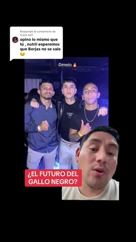 Respuesta a @roses.axl1 Opiniones? #UFC #mma #viral #nutricionista #nutrisor 