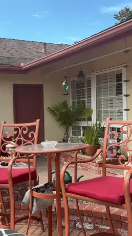Enjoy the little things in life 🦜