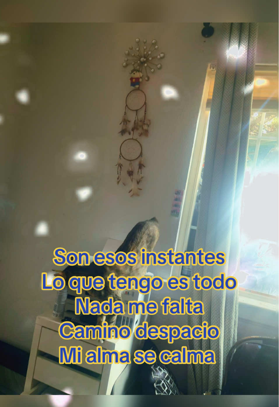 #ynomerendire #sonrielealavidacontormenta #gatitos @Flora Rangel @Esperanza Gomez @Maria parra #amigos 