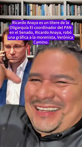 Despair and defiance: decoding the judicial power drama #viral #nahummachoficial #usa_tiktok #fyp #pov #andrewcuomo #payaso #mexico #republicanos #storytime #foryou #newyorkcity #BREAKING #amlo #story #tiktok #elonmusk #fypシ