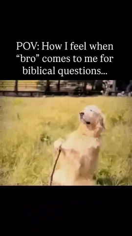 Biblical questions #smart #wise #Bible #Biblesmart #God #question #Biblequestions #study #Biblestudy #christiantiktok #christian #christianity #foryou 