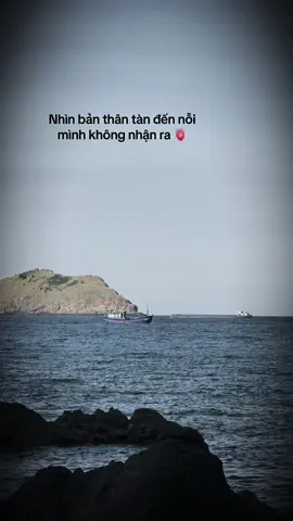 Tàn quá ☺️#xuhuong #biển #tâmtrạng 