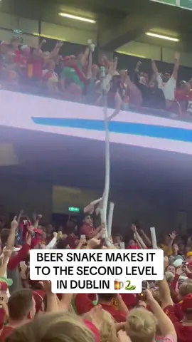 College football is so back 🔥 (via nick_walter23/X) #cfb #college #football 