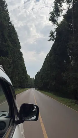 🇰🇪❤️