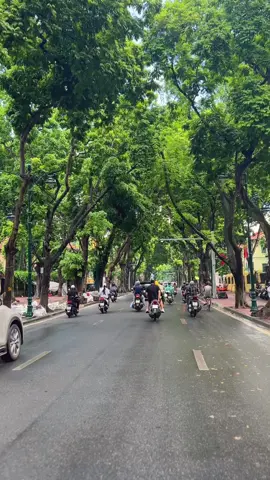 Sáng Thu Hà Nội yêu quá !! #thuhannoi🍁 