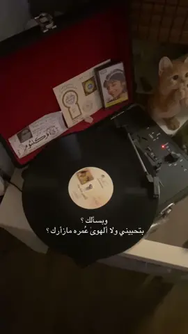 بتحبييني ؟ #أكسبلور #g #a #حُب #❤️ 