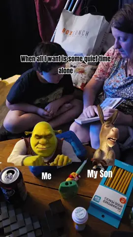 never a quiet moment #kids #sahm #meme #funny #memecut 