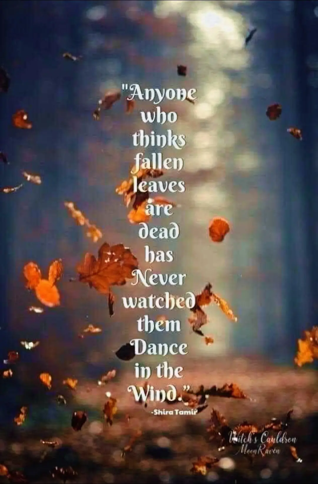 Who else loves fall? #fall #halloween 