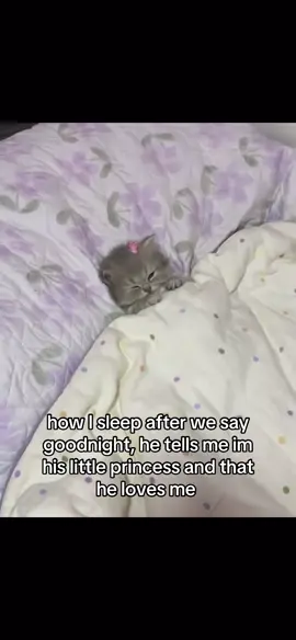 #Relationship #catsoftiktok #catmeme #relationshipmemes #girlfriend 
