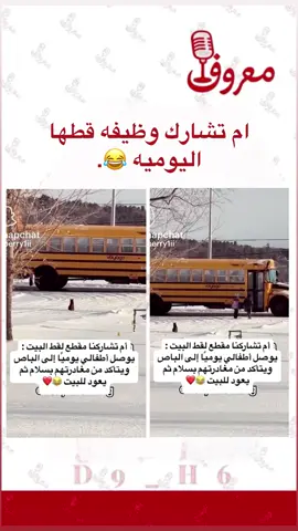المشكله شغال بدون راتب بعد 🐱. #قطط #fyp #explore #ترند #اكسبلور 