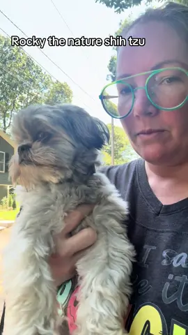Someone’s an outdoorsy dog #shihtzusoftiktok #dogsoftiktok #imperialshihtzu #sillypuppy 