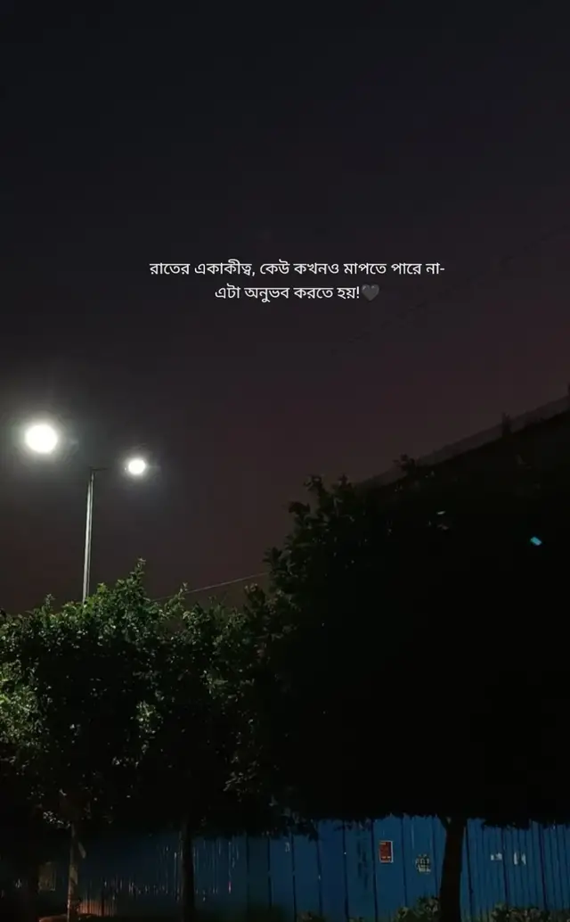 রাতের একাকীত্ব, কেউ কখনও মাপতে পারে না- এটা অনুভব করতে হয়!🖤 #foryou #foryoupage #viral #unfrezzmyaccount 