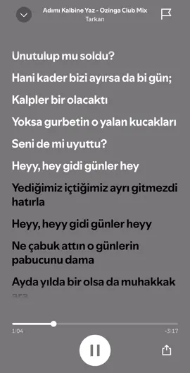 Tarkan Adımı Kalbine Yaz #tarkan #adımıkalbineyaz #spotify #şarkı @Taha_cgl 